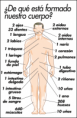 /album/fotogaleria/cuerpo-humano-indicando-sus-partes-1-1-png1/